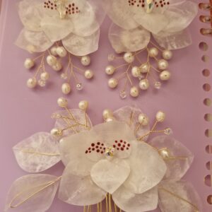 Set de Accesorios con Escamas de Pescado